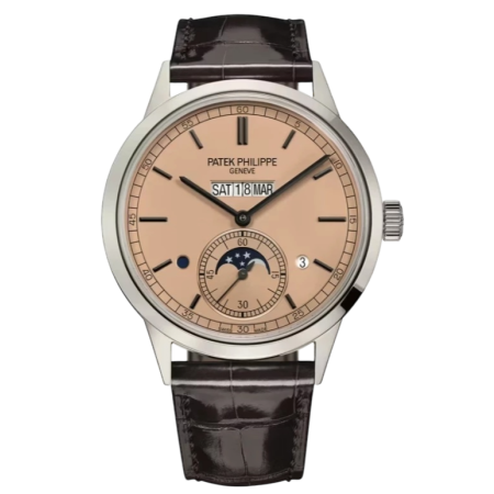 Часы Patek Philippe GRAND COMPLICATIONS 5236P-010