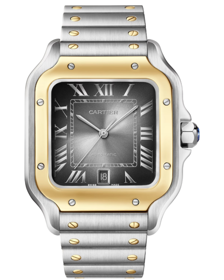 Часы Cartier Santos De Watch W2SA0030